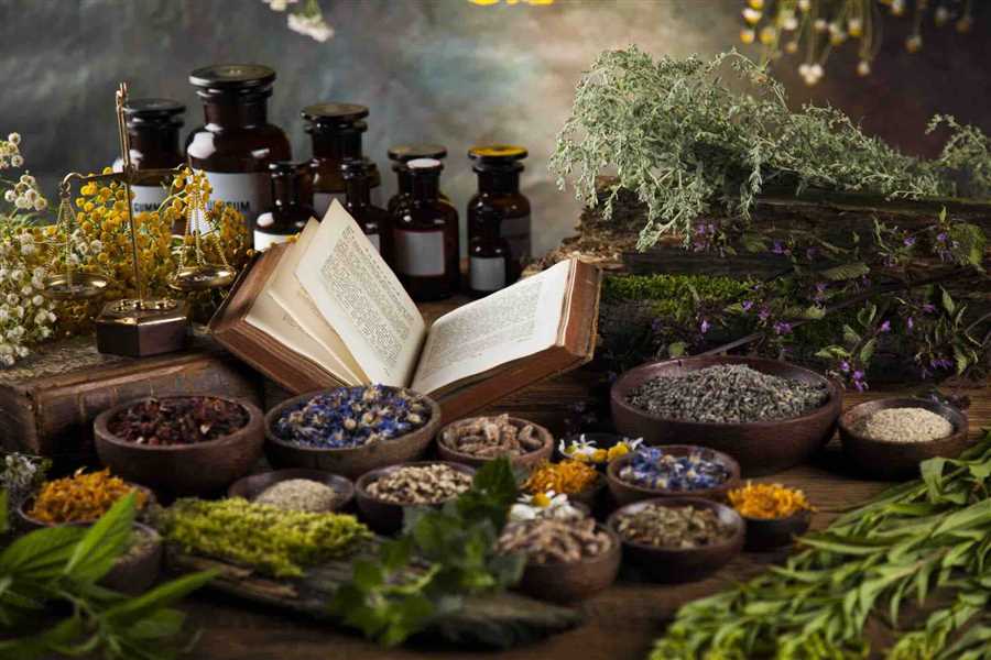 История использования лекарственных растений