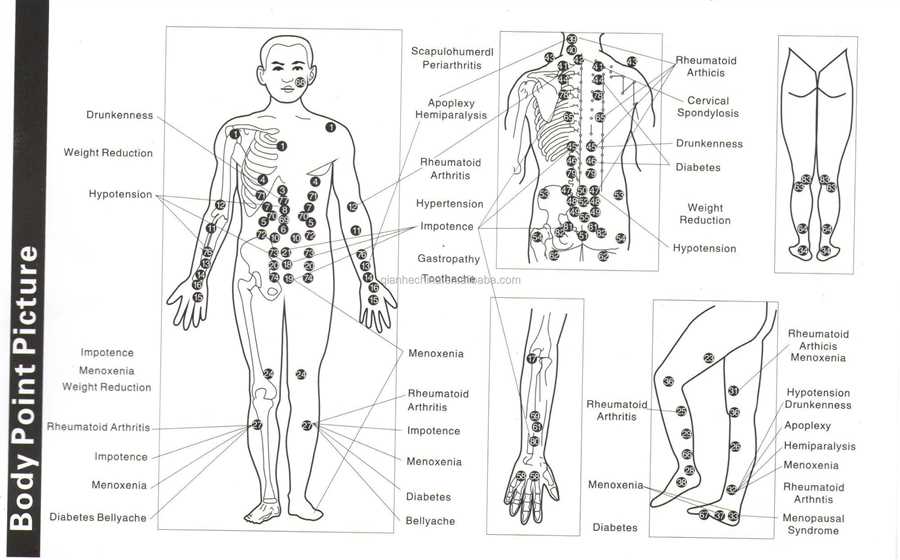 Исторический обзор: от древности до современности